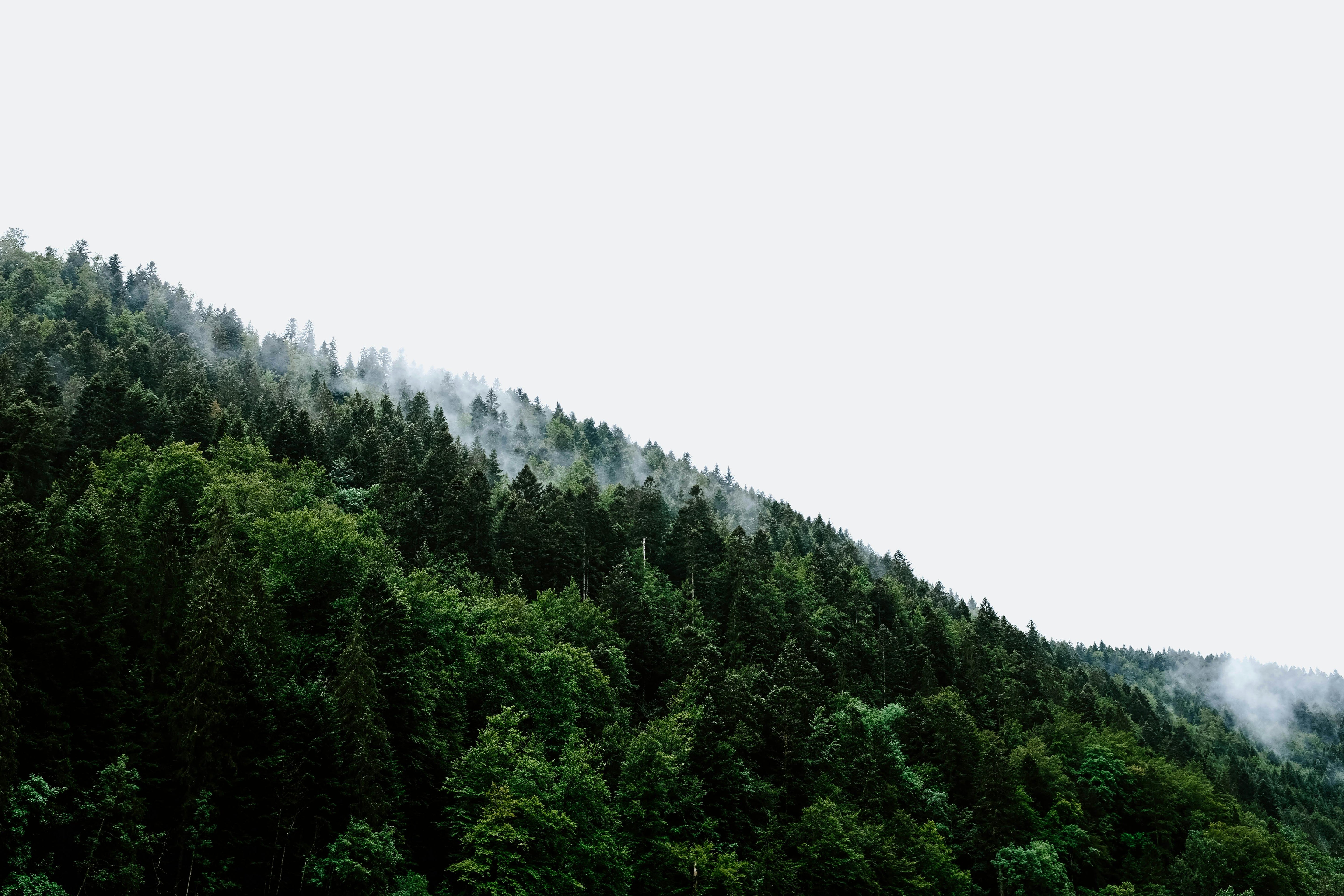 How Tap To Connect Saves Businesses Money (and Trees!)