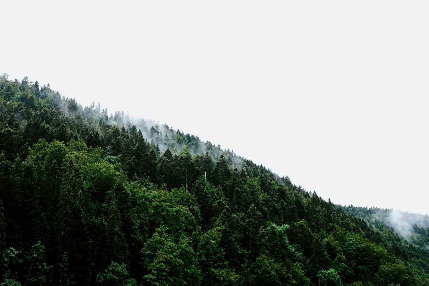 How Tap To Connect Saves Businesses Money (and Trees!)